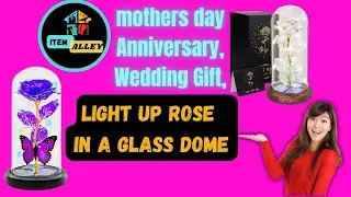 Mothers Day Rose Gifts, Galaxy Purple Butterfly Rose in Glass Dome Light Up |  itemalley