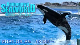 ◆鴨川シーワールド　シャチパフォーマンス（2021．09．24）13：00~ ◆【4K60P】