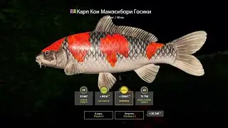 Russian Fishing 4 - Общение, Турниры, Норвежка и много чего еще мы сегодня не увидим=D