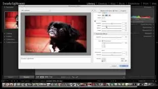 Lightroom 5 - Cómo Crear Marcas de Agua? (Tutorial)
