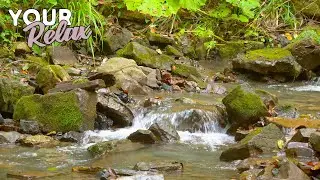 Gentle sounds of a mountain river. Relaxing nature for relaxation and sleep.