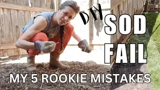 Five basic but HUGE beginners mistakes I made laying sod // WATCH MY SOD FAIL