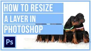 How To Resize A Layer In Photoshop CC - Photoshop Tutorial