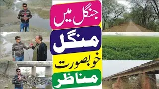 To know the beautiful scenes of Jangle, in the Mangal, see Gulistan News Kasur#💕💖❤️💗