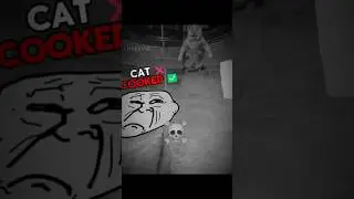 Bro is back..! 💀 | Troll Face | Moments before disaster