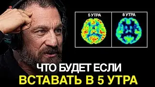 ВОТ ПОЧЕМУ МИЛЛИОНЕРЫ ПРОСЫПАЮТСЯ В 5 УТРА