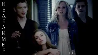 ● Caroline & Hayley & Klaus || НЕДЕЛИМЫЕ