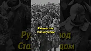 Румыны под Сталинградом #историяроссии #история #россия #ссср #историяруси #вов #румыния #сталинград