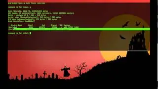 Emulating Raspberry Pi  On Linux with QEMU - Part 2 - Resizing partitions