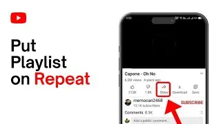 How to Put YouTube Playlist on Repeat Mode (2024)
