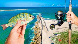 Florida Jetty Fishing: Fish Can't Resist This Bait! Catch, Clean & Cook