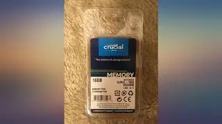 Crucial 8GB Single DDR3//DDR3L 1600 MT//S (PC3-12800) Unbuffered SODIMM 204-Pin review