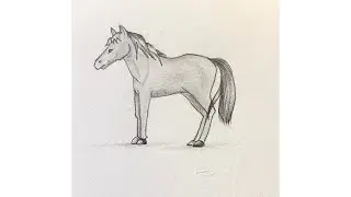 How to draw a horse step by step easy tutorial