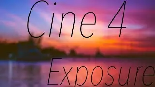 The easiest method for exposing Sony Cine4