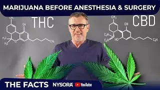 Marijuana Before Anesthesia & Surgery: The Facts