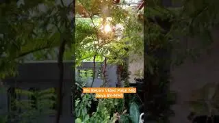 Boya BY-MM1! Mic Murah Untuk nge VLOG Suaranya Enak!