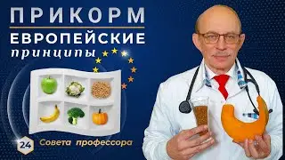 Прикорм ребенка с 4, 5, 6 до 12 месяцев - Европейские принципы, начиная с введения первого прикорма