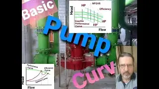 What are the Basic Curves in Pump Graphs