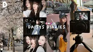 DAISY’S DIARIES: цветение вишни, pop-up сторы, кофейни, весенний Сеул, друзья👼🏻