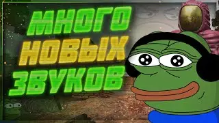 Очень много звуков и фиксы баланса - Патчноут 17.05.2023 | Stalcraft