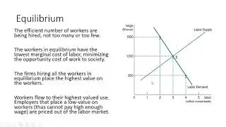 Labor Economics: Supply and Demand II