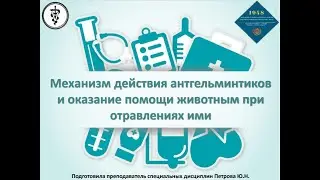 Петрова Ю.Н. / Механизм действия антгельминтиков и оказание помощи животным при отравлениях ими