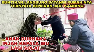 VIRAL !!!TEMUI ANAK INJAK KEPALA IBU LAGI SHOLAT SEKETIKA JADI KAMBING