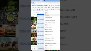 📥 Import Google Drive Images Into Spreadsheet 📊 #spreadsheetskills  #googlesheets #googlesheets