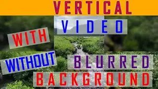 Vertical Video With & Without Blurred Background / Sides