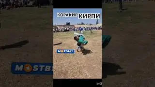 УЗБЕК ПОЛВОНЛАРИ