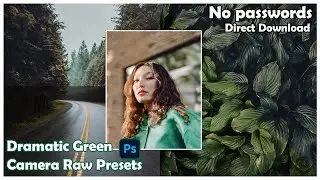 Top Premium Cinematic Photoshop Camera Raw Presets Free download | Dramatic Green