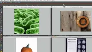 Photoshop Elements Tutorials- View Options