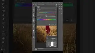 How to Create a Color Splash Effect | Short Photoshop Tutorial