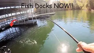 Fish Docks NOW! For BIG Fall CRAPPIE!! (Dock Fishing Tips!)