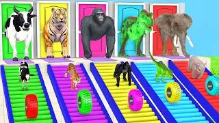 Long Slide Game with Elephant Gorilla Hippopotamus Tiger - 3d animal guess the right door - funny 3d