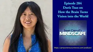 Mindscape 284 | Doris Tsao on How the Brain Turns Vision Into the World