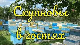 Встречи на пасеке!!! У нас в гостях Скупновы!!!