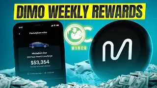 DIMO Weekly Reward Payouts for January 1, 2024