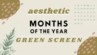 Aesthetic Months Of The Year Overlays | Green Screens 2020