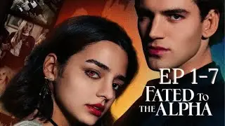 Fated to the Alpha Full Part | ReelShort