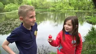 AV Browne Work | National Trust | Little Rangers | Ollie and Tillie go pond dipping