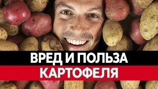 ВРЕД И ПОЛЬЗА КАРТОФЕЛЯ. Картофель фри. Сухое картофельное пюре