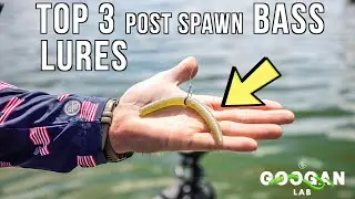 The 3 BEST POST SPAWN BASS Fishing LURES! ( Bass Fishing Basics )