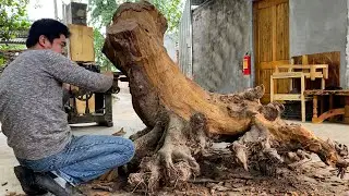 Create Unique Ideas From Tree Trunks With Strange And Mysterious Shapes