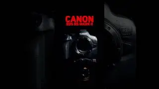 Canon EOS R6 Mark II untuk Content Creator