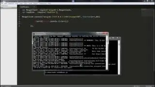 Insert data into MongoDB using Node JS cmd
