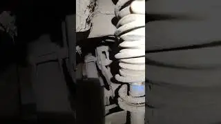 19 мая 2024 г.