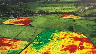 Applications of Remote Sensing in Precision Farming