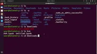 Using the Linux Terminal