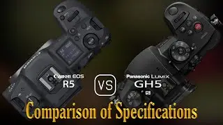 Canon EOS R5 vs. Panasonic Lumix GH5S: A Comparison of Specifications